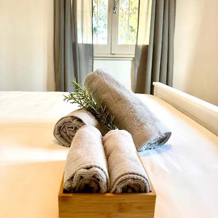 Bamboo Sea View