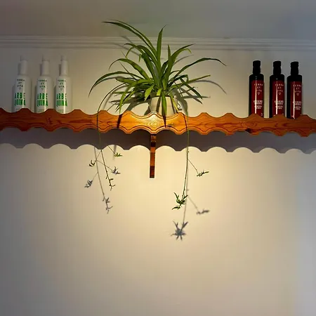 Holiday home Bamboo Sea View